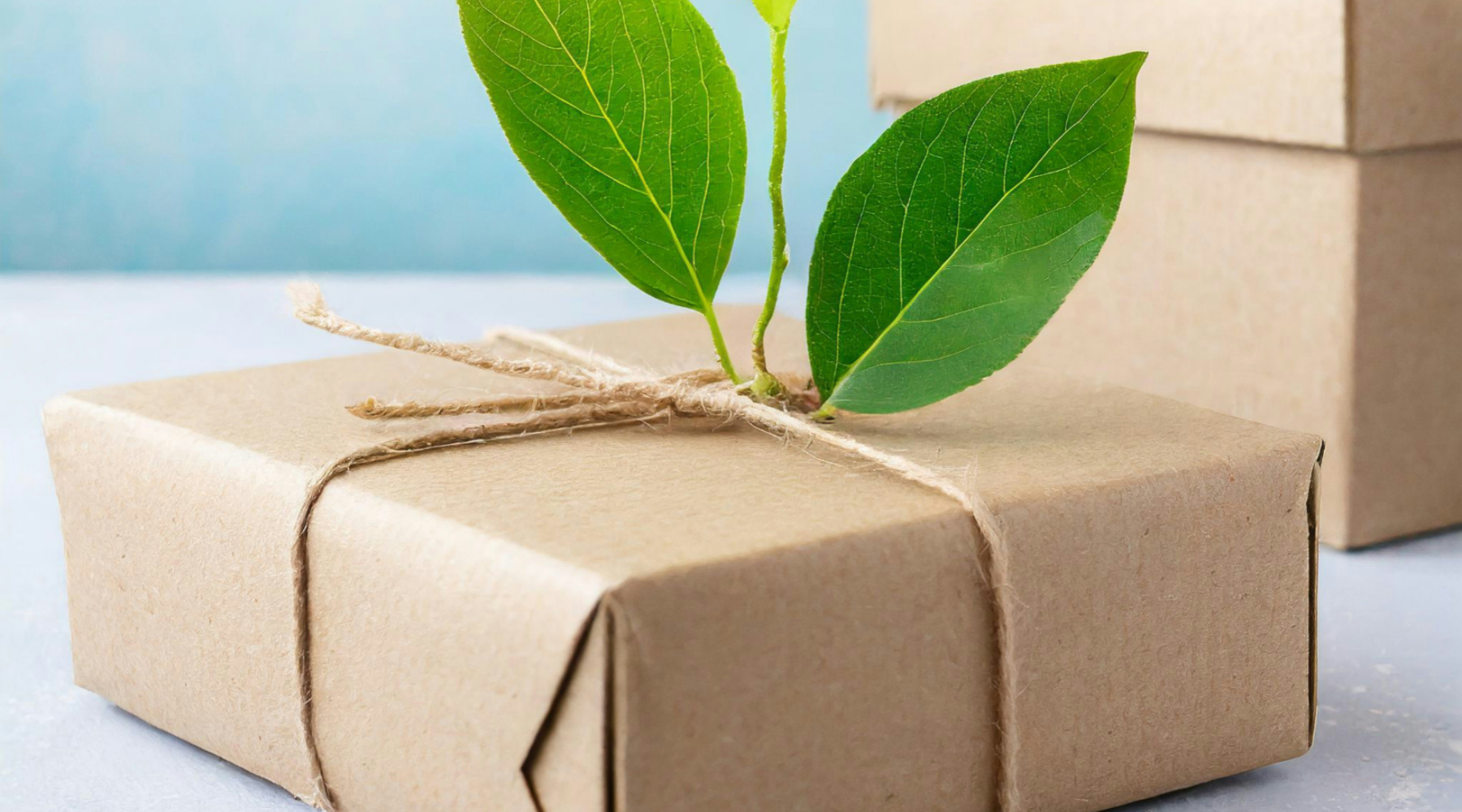 Sustainable Packaging Solutions for Small Businesses